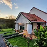 Bed & Breakfast Palos