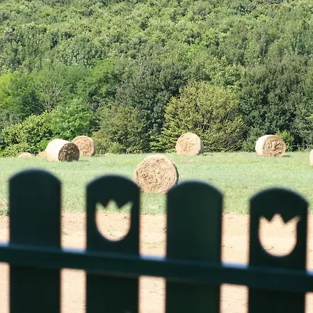 Oda ve Kahvaltı Palos 4*