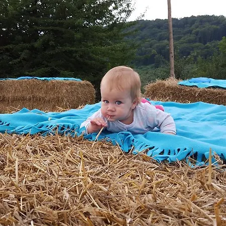 Palos לינה וארוחת בוקר 4*