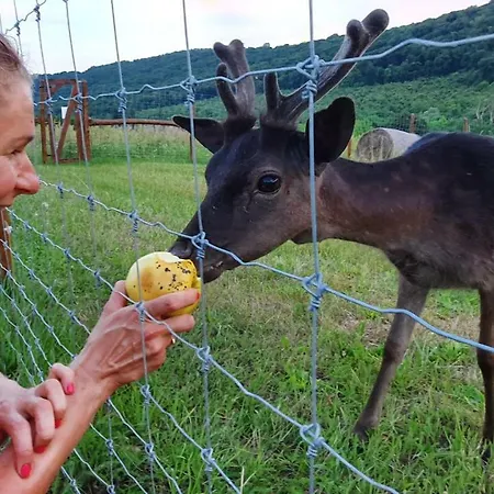 Palos Oda ve Kahvaltı