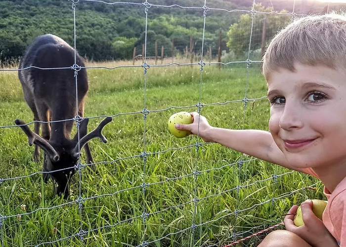 Panzió Palos Zalacsány