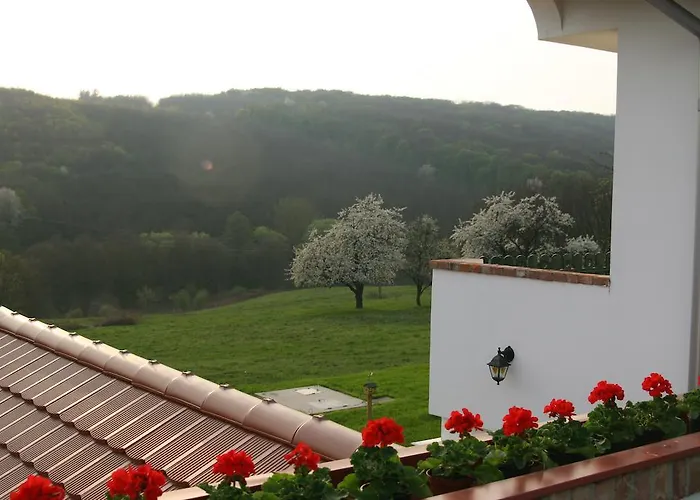 Panzió Palos Zalacsány