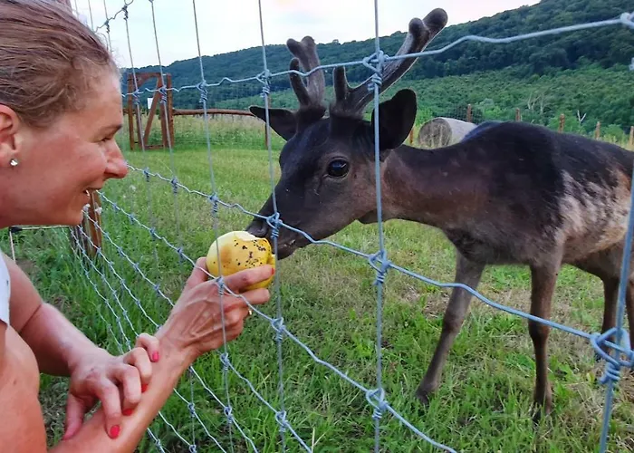 Palos לינה וארוחת בוקר